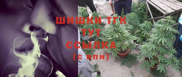 гидра Алексин