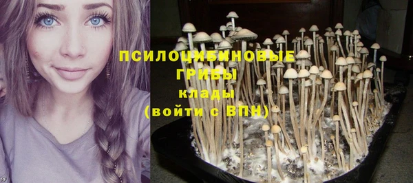 apvp Алексеевка