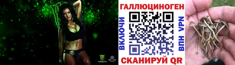 Псилоцибиновые грибы GOLDEN TEACHER  Боготол 